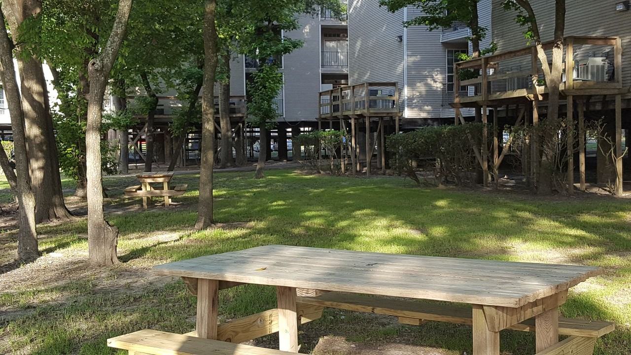 Serena Woods Apartments - Photo 4 of 21