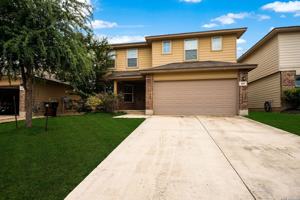 featured image of 469 Eastern Phoebe