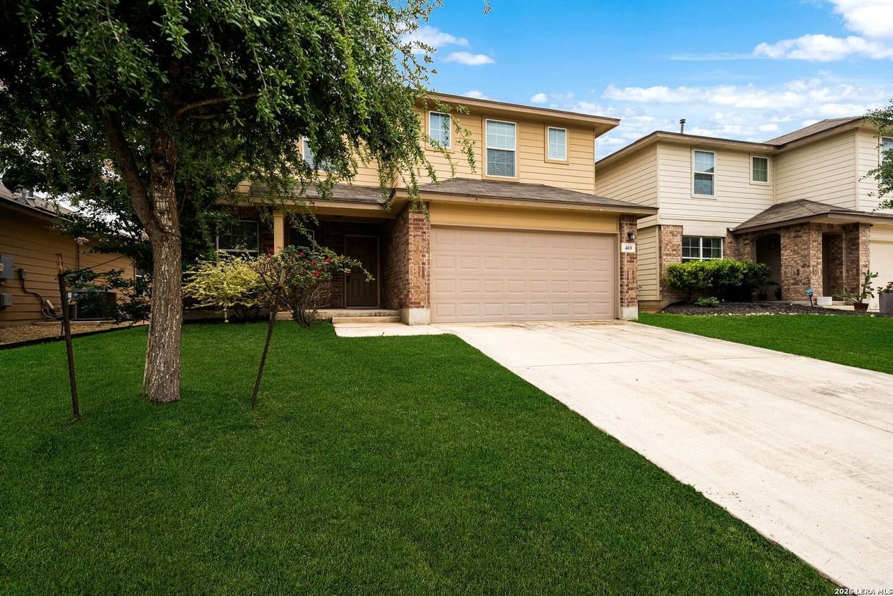 469 Eastern Phoebe - Photo 3 of 34