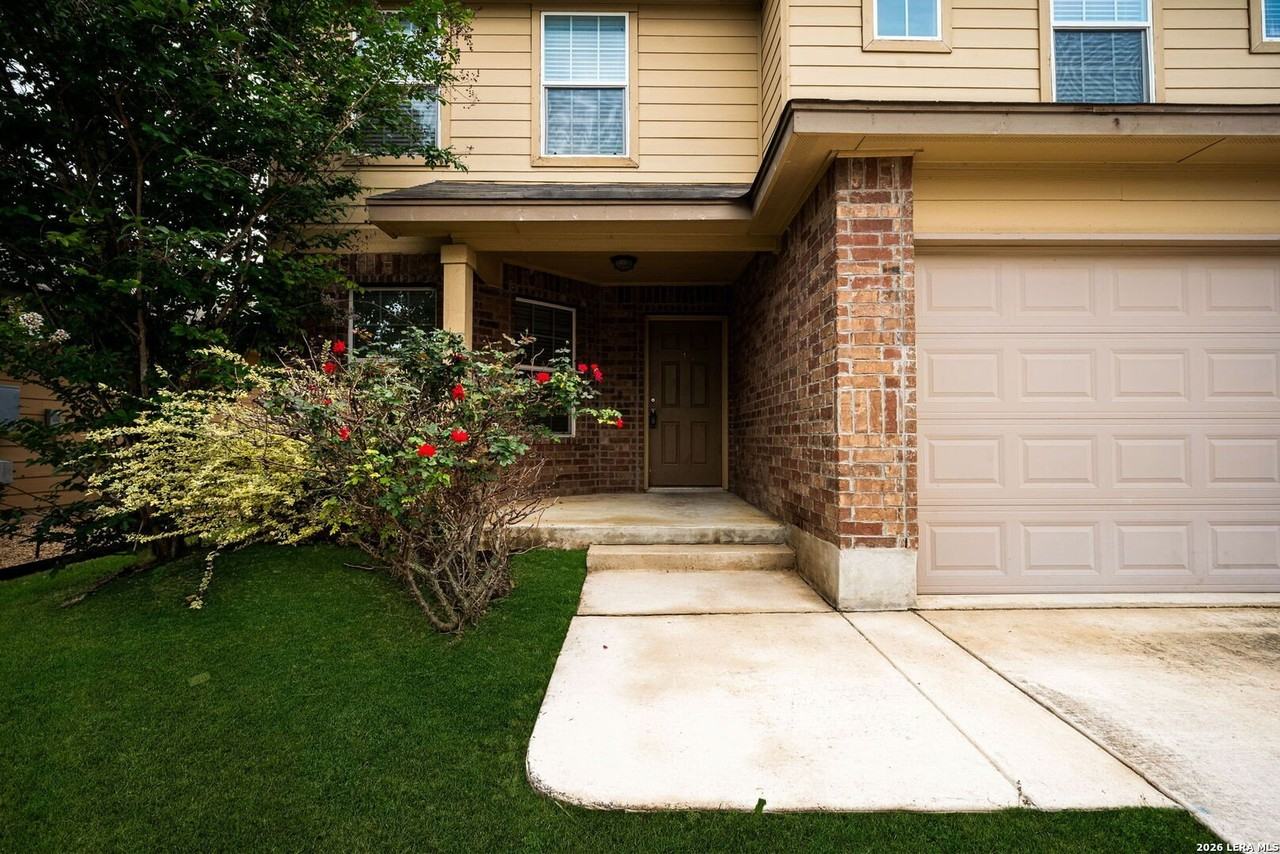 469 Eastern Phoebe - Photo 4 of 34