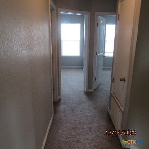 1714 Risen Star Ln #B - Photo 6 of 12