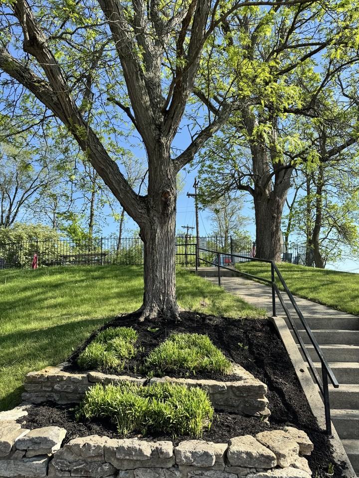 701 Pyramid Hill Boulevard - A3 PATIO - Photo 3 of 17