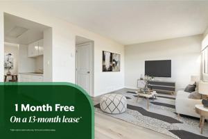 featured image of 3725 53 St