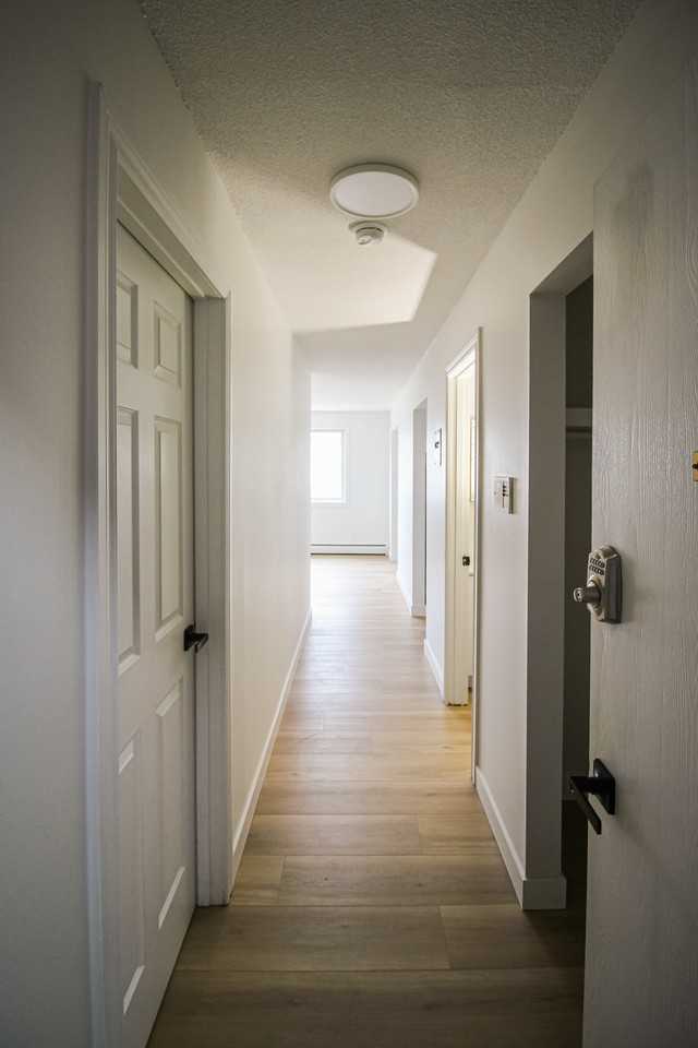 Roppo Casa - 12245 97th - Photo 2 of 30