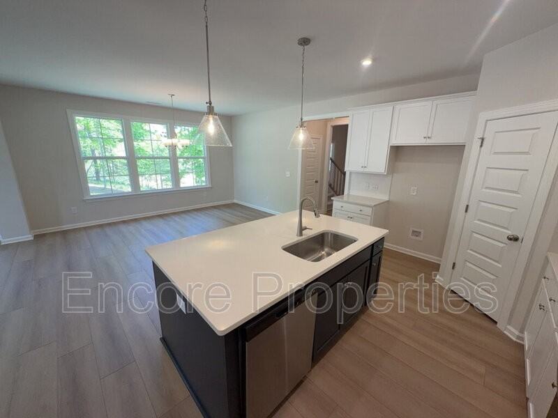135 Little Gem Ln - Photo 6 of 23