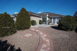 1417 Desierto Rico Ave - Photo 1 of 1