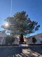 featured image of 950 Mormon Dr