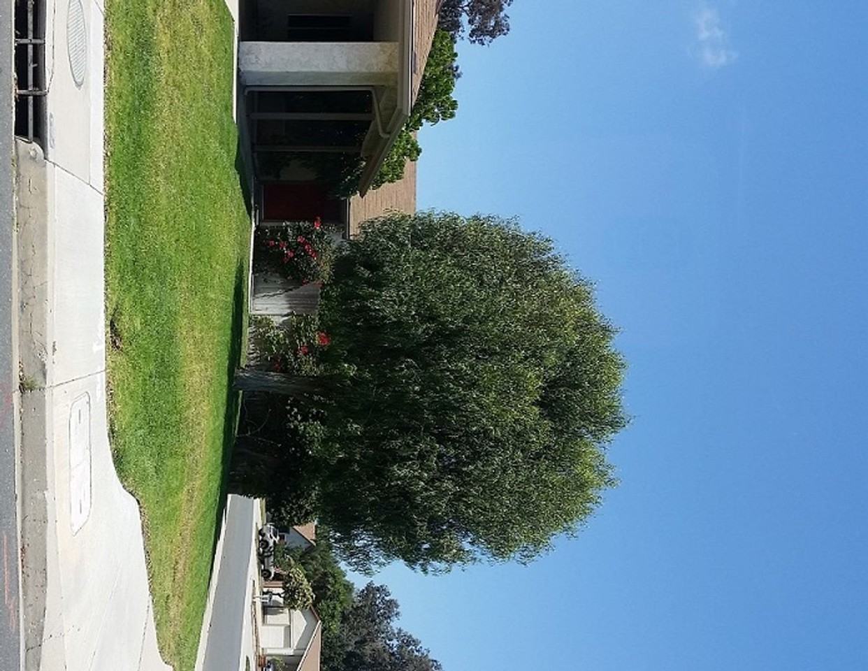 11 Baroda Dr - Photo 4 of 7