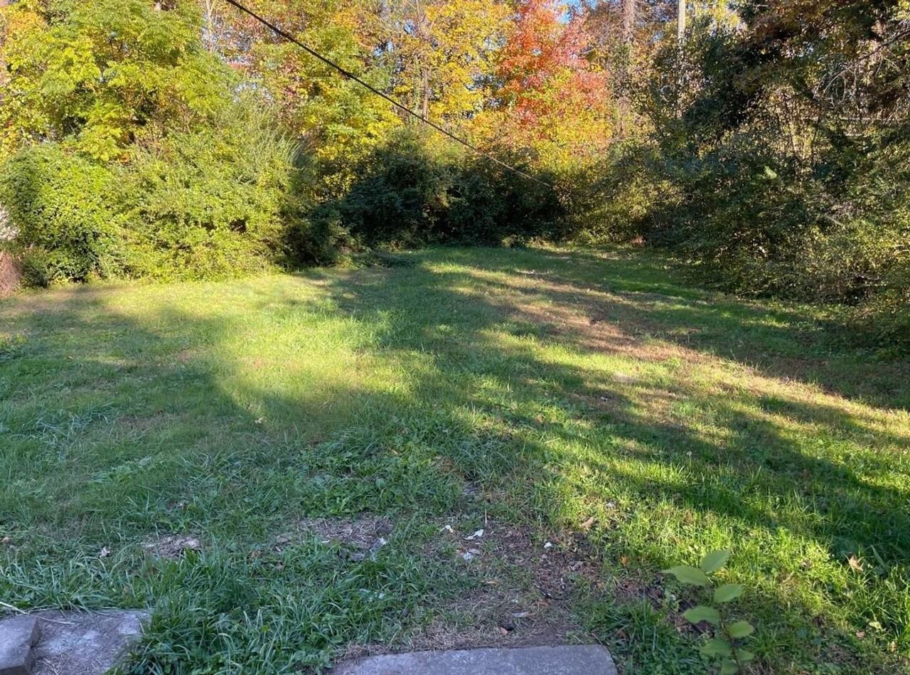 3617 Conway St - Photo 7 of 18