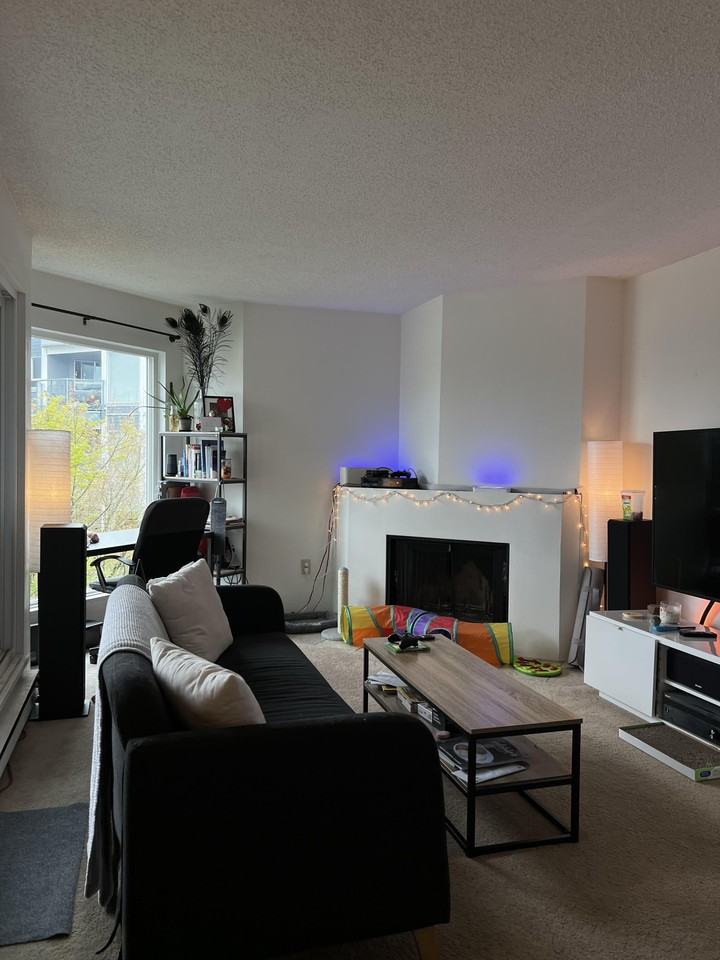 1355 West 4th Avenue #308 - Photo 6 of 15