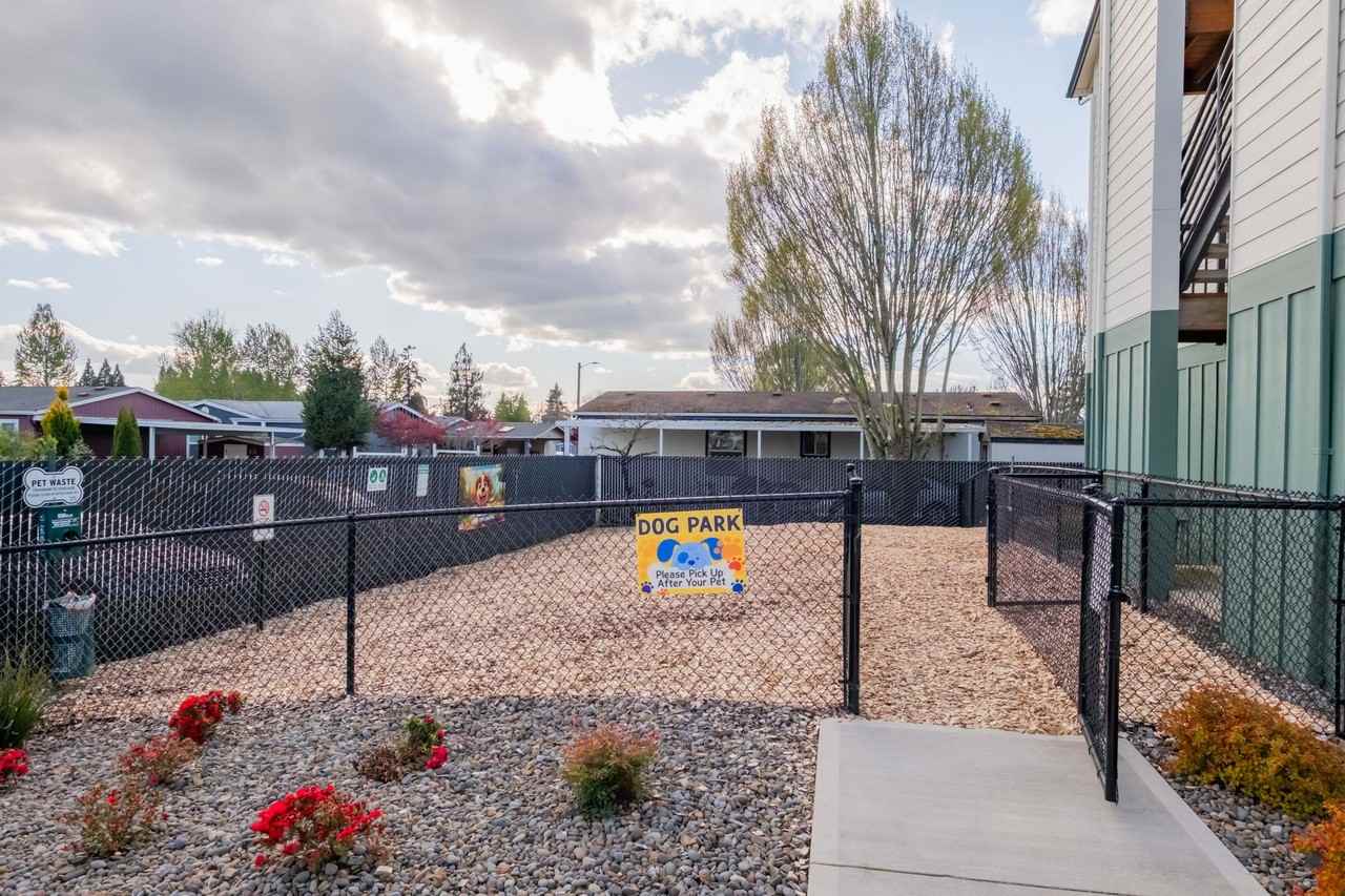 Birch Place Apartments - Photo 6 of 34