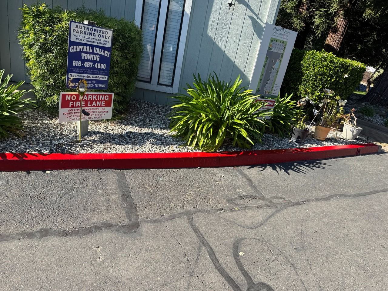 Madison Pines Apartments - Photo 4 of 4