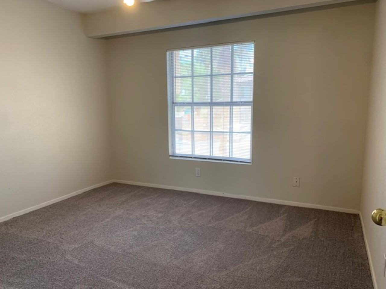 7604 Almeria Ave - Photo 6 of 18