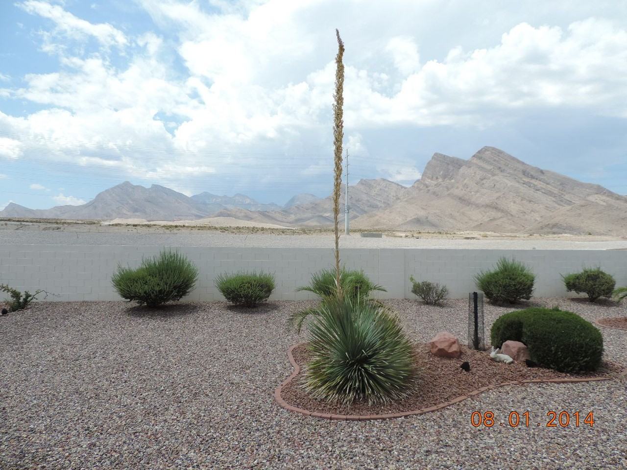 2337 Sun Cliffs St - Photo 3 of 24