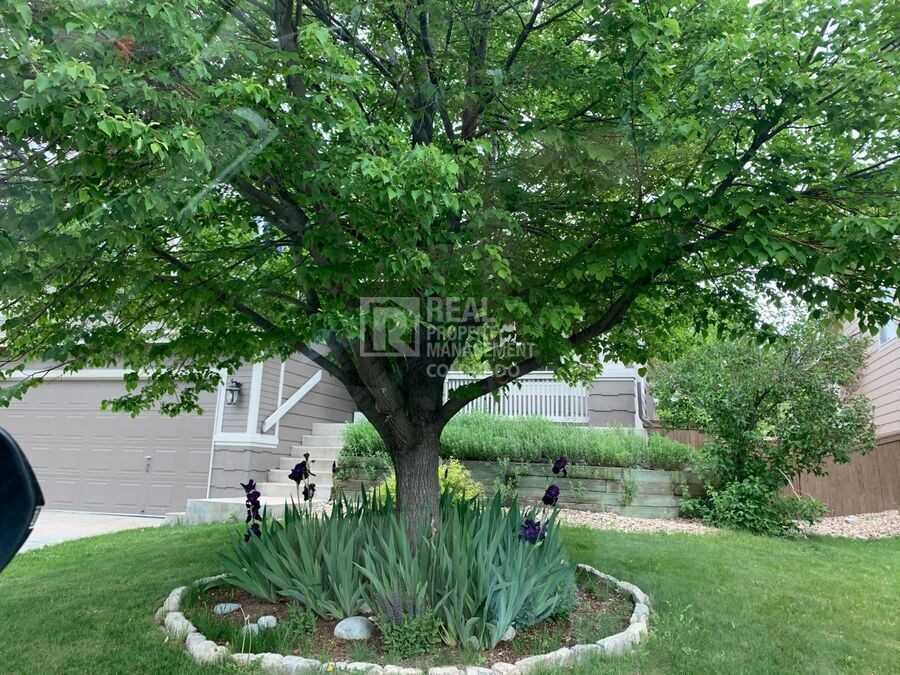 515 Stellars Jay Dr - Photo 2 of 27