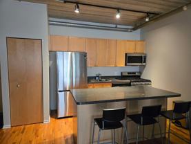 1430 S Michigan Ave #206 - Photo 1 of 1