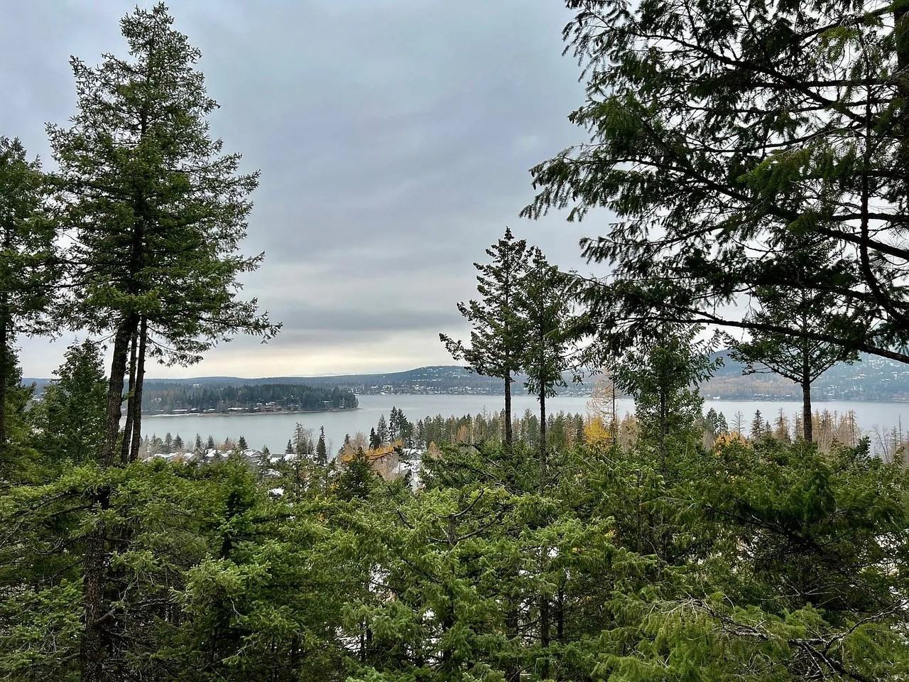 1952 Sun Crest Dr #1 - Photo 3 of 19