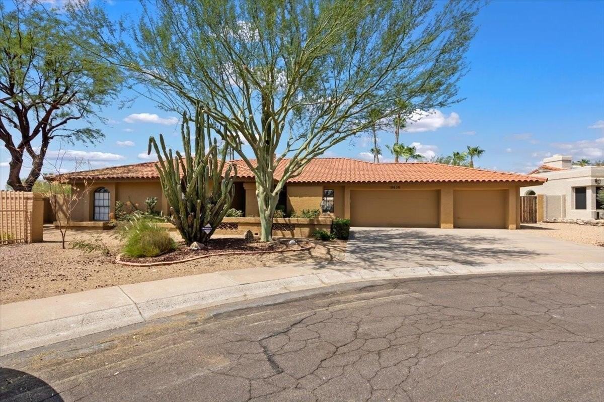 10628 E Cinnabar Ave - Photo 2 of 21