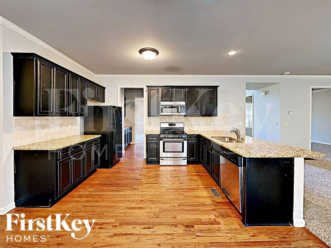 1605 Richmond Meadow Ct - Photo 6 of 17