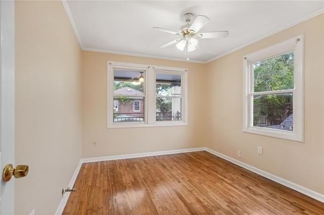 3909 Panama Ct #1B - Photo 7 of 14
