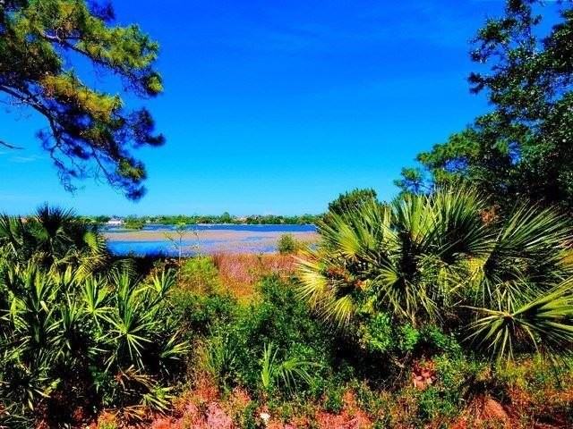 1914 Vista Cove Rd - Photo 5 of 5