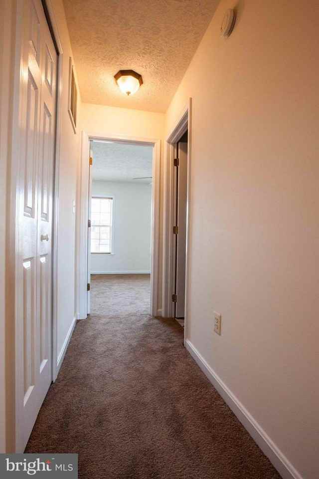 10502 Guilderland Ct - Photo 6 of 16