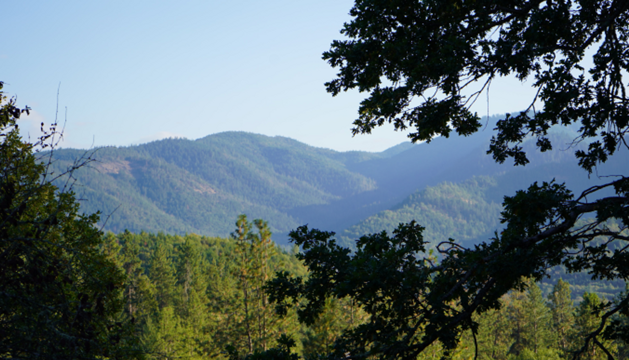 376 Rancho Vista Dr - Photo 2 of 14