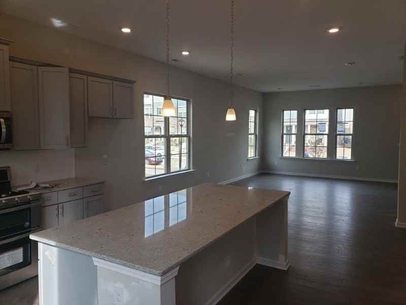 952 Ainslie Downs St - Photo 4 of 7