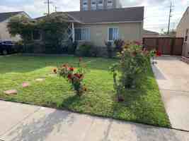featured image of 8624 Lilienthal Ave
