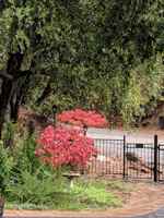 featured image of 840 Nevada Street Ext