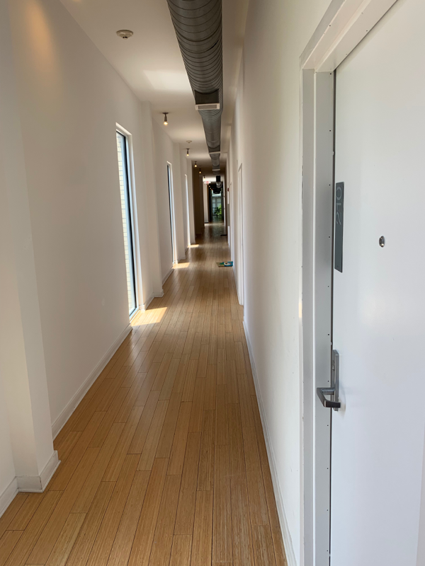 2263 Young Ave #210 - Photo 3 of 12