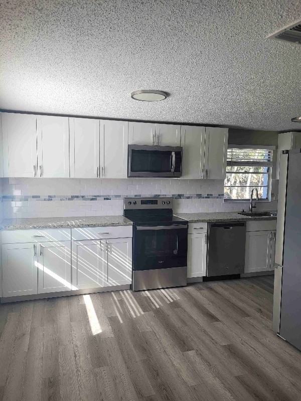 1665 134th Ave - Photo 2 of 18