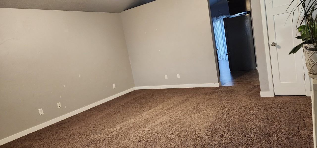 517 Es - Photo 7 of 13