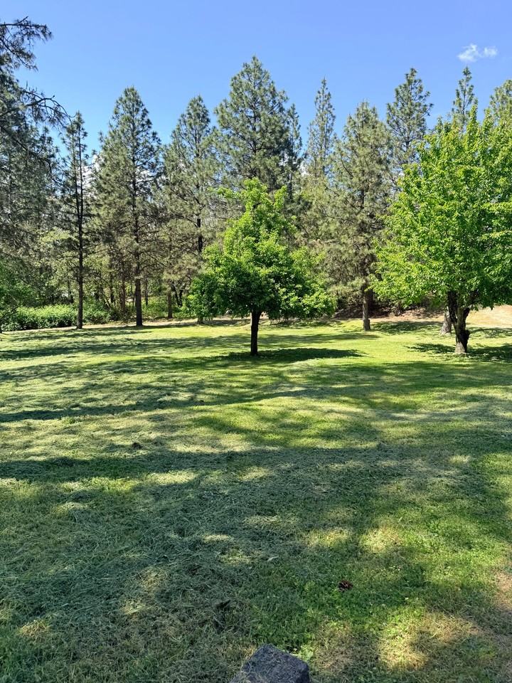 1970 Lonnon Rd - Photo 7 of 8