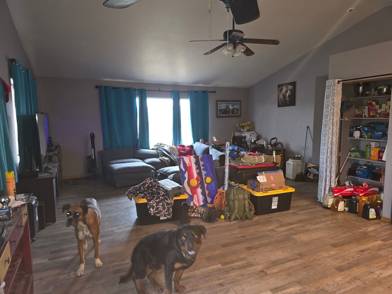 1823 S Mountain Estates Rd - Photo 5 of 7
