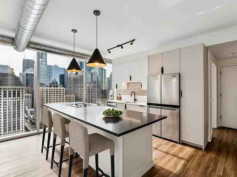 167 W Kinzie St - Photo 3 of 11