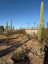 1702 N Greasewood Rd - Photo 1 of 1