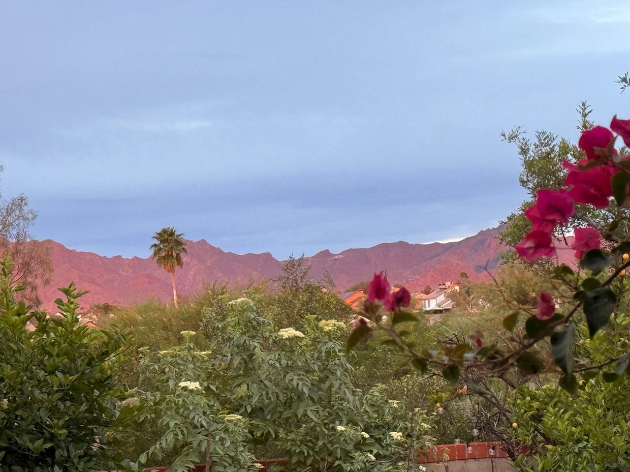 1702 N Greasewood Rd - Photo 2 of 20