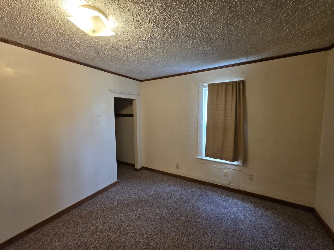 497 Sumner St #NA - Photo 4 of 13