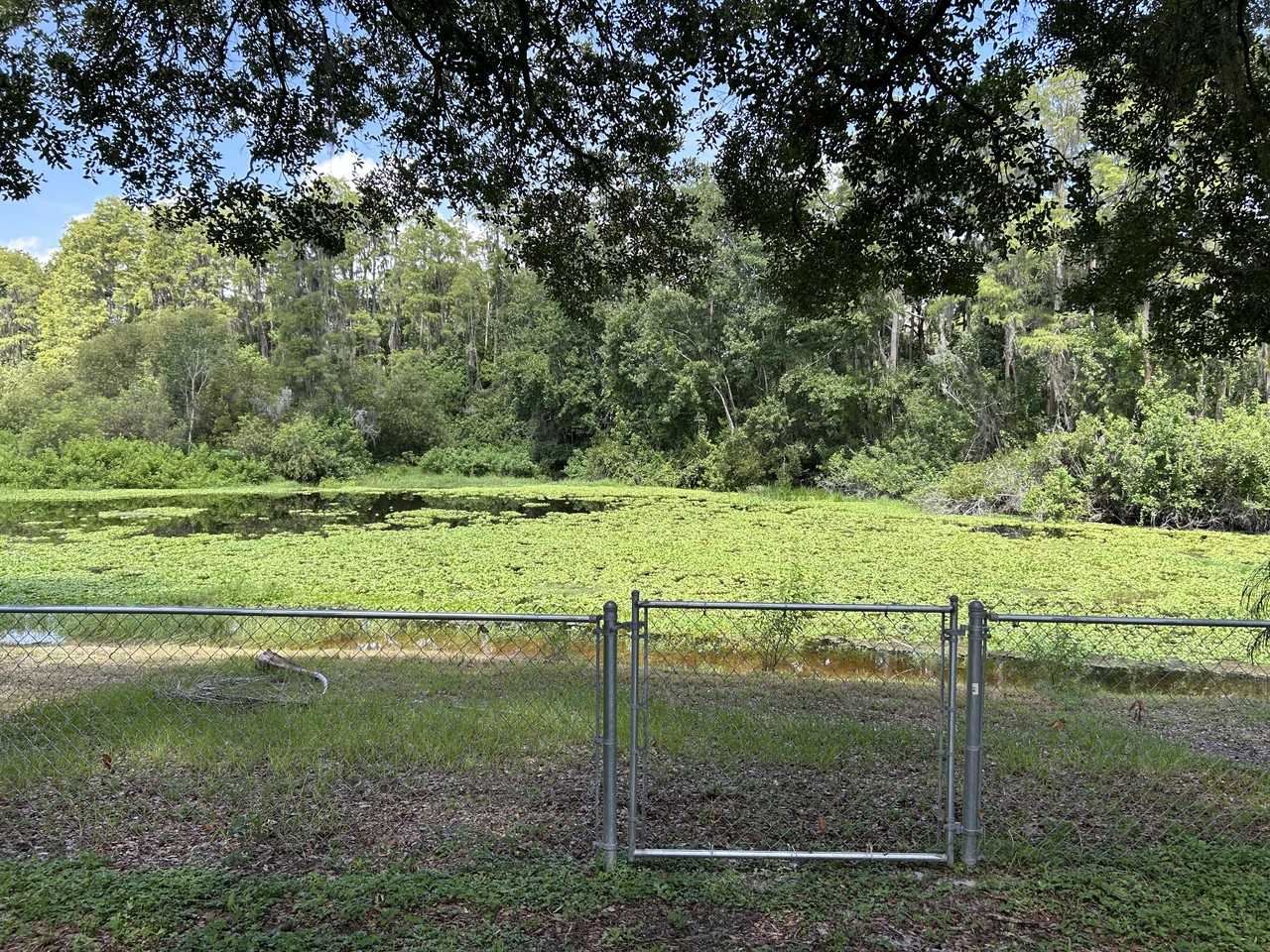 4401 Longshore Dr #NA - Photo 4 of 15