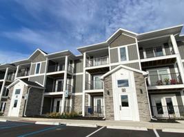 featured image of 3816 Amelia Ave