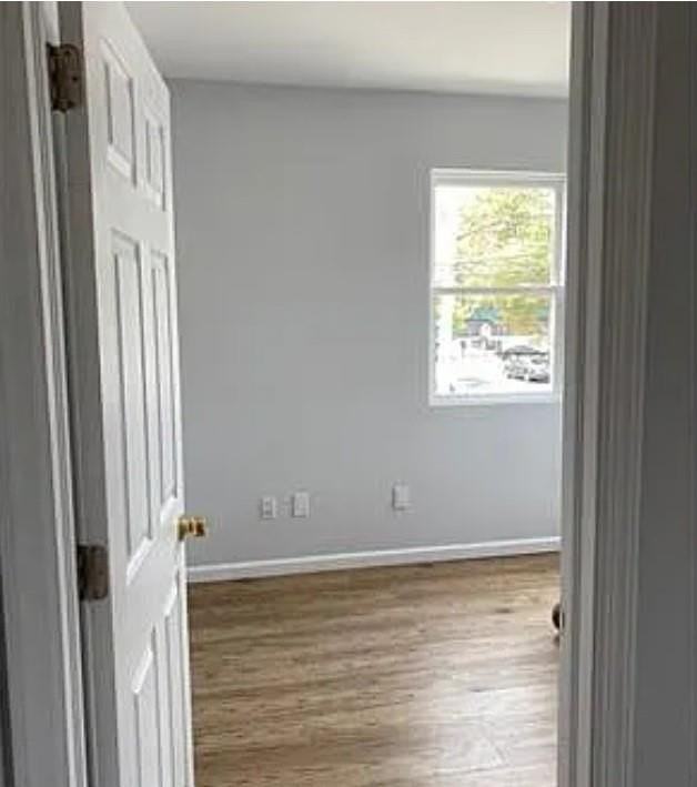 3002 Voorhies Ave #2F - Photo 4 of 5