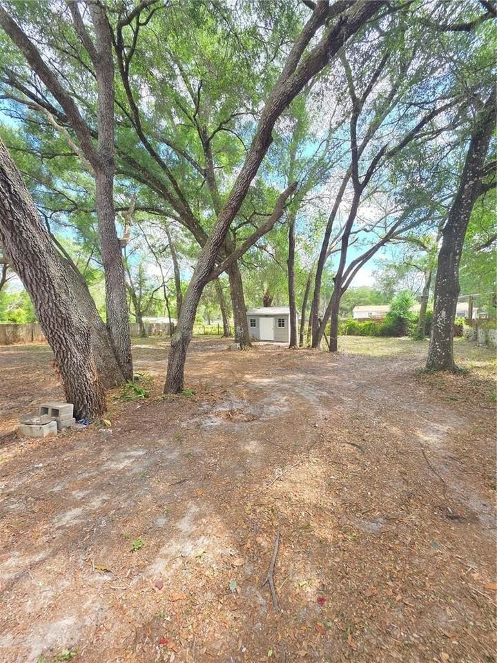 34934 Punch Rd - Photo 4 of 13