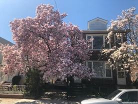 594 E 38th St - Photo 1 of 1