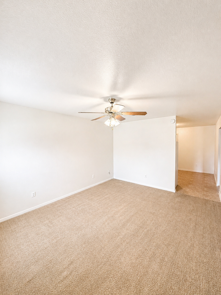 4203 Primrose Dr #C - Photo 3 of 26