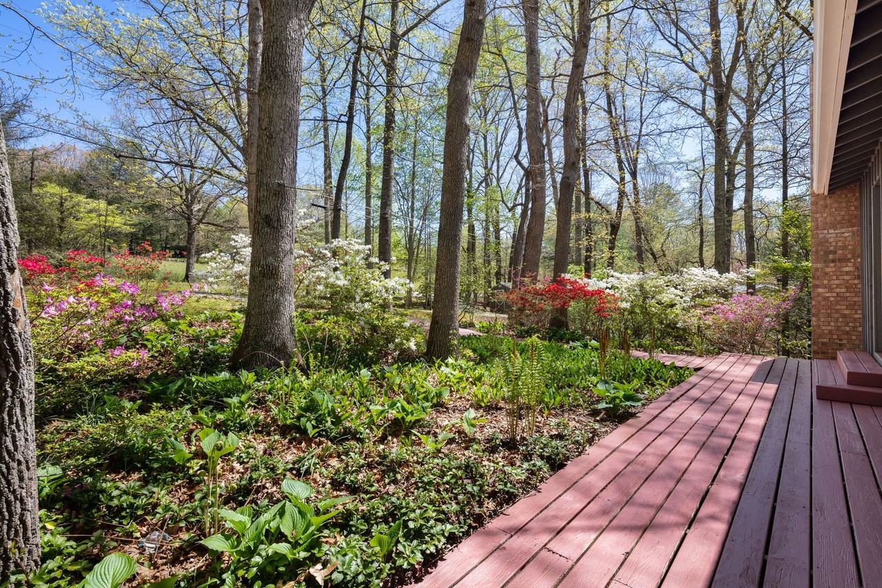 110 Sleepy Gap Rd - Photo 3 of 34
