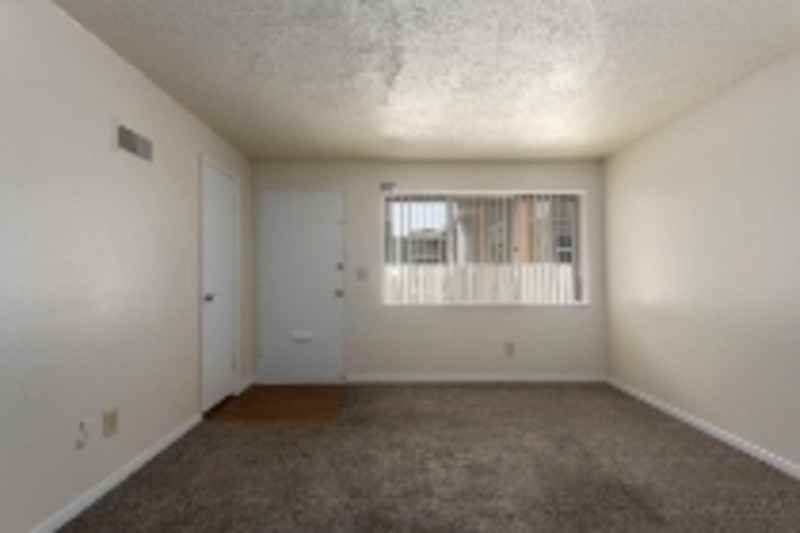 439 W 87th Pl - Photo 5 of 16