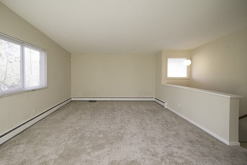 524 Bemidji Ct - Photo 6 of 28