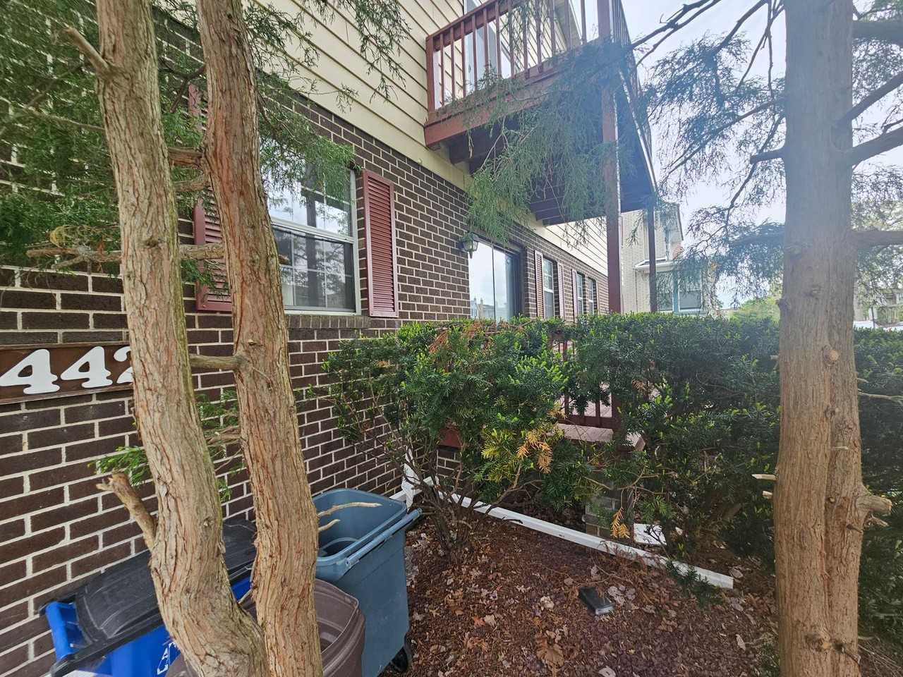 442 S 18th St - Photo 3 of 13