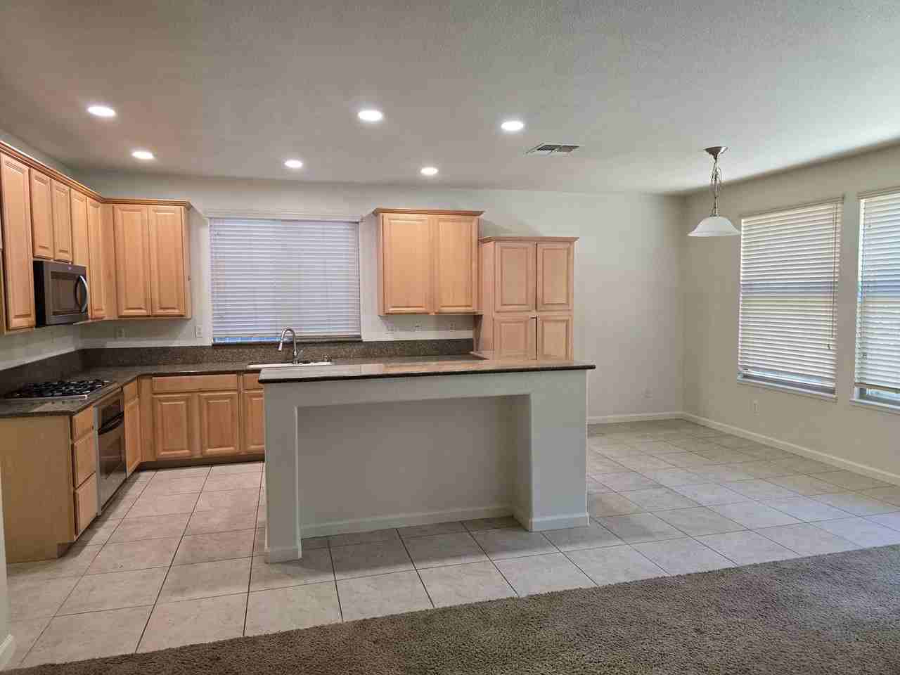 11965 Pericles Dr - Photo 3 of 11